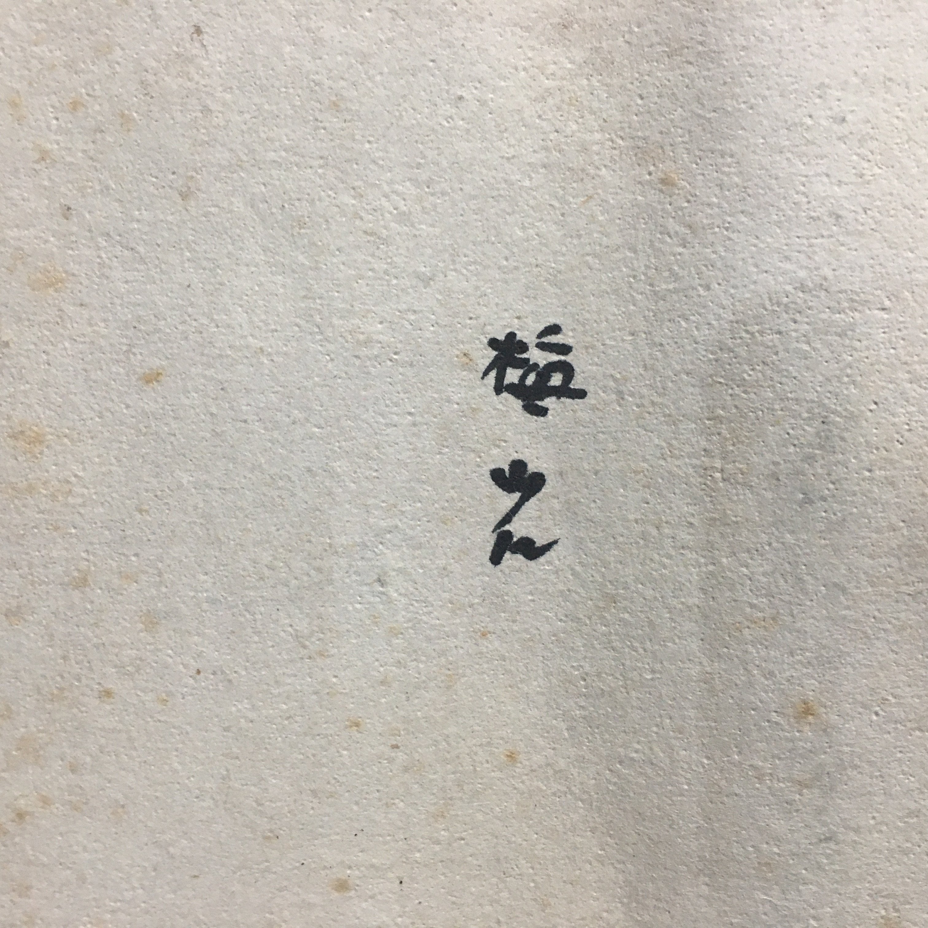 Japanese Hanging Scroll Vtg Kakejiku Kakemono Painting Two Cranes Baiitsu SC652