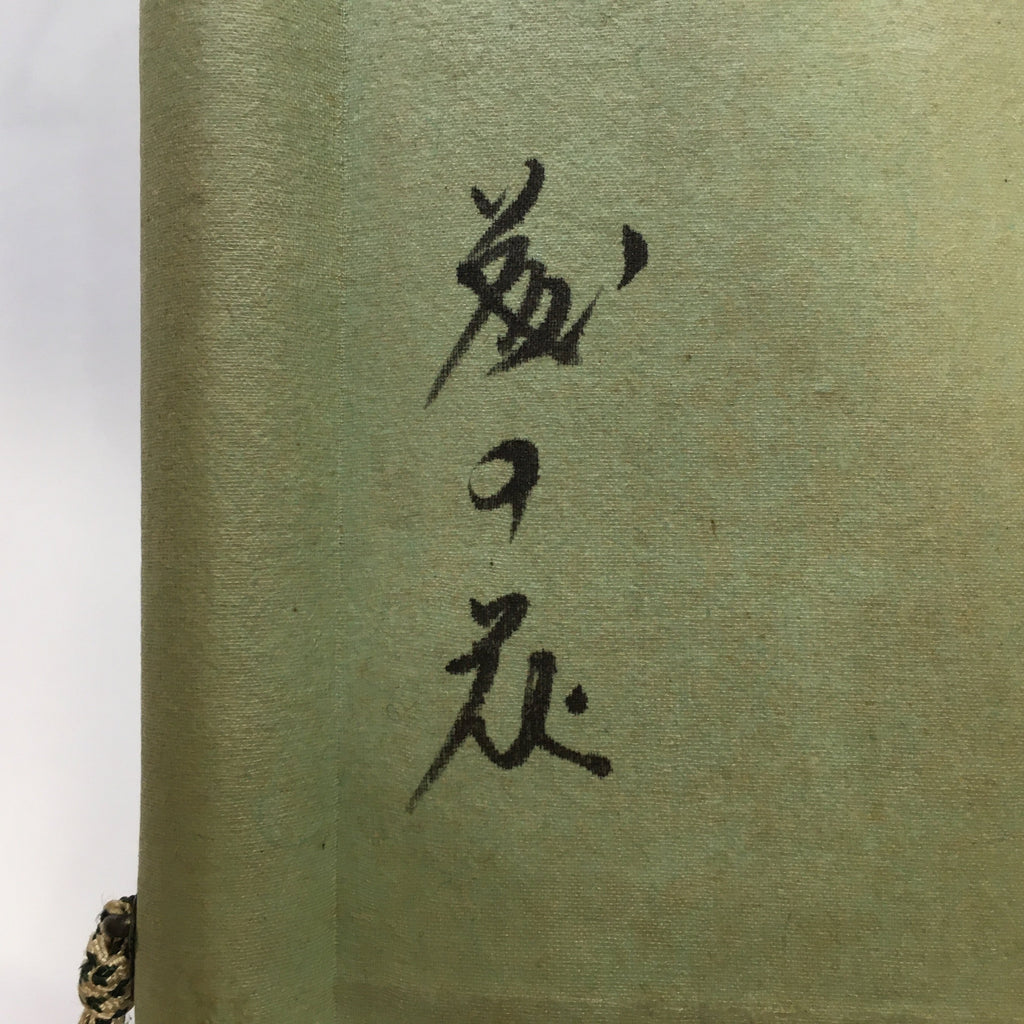 Japanese Hanging Scroll Vtg Kakejiku Kakemono Painting Wisteria Flowers SC626