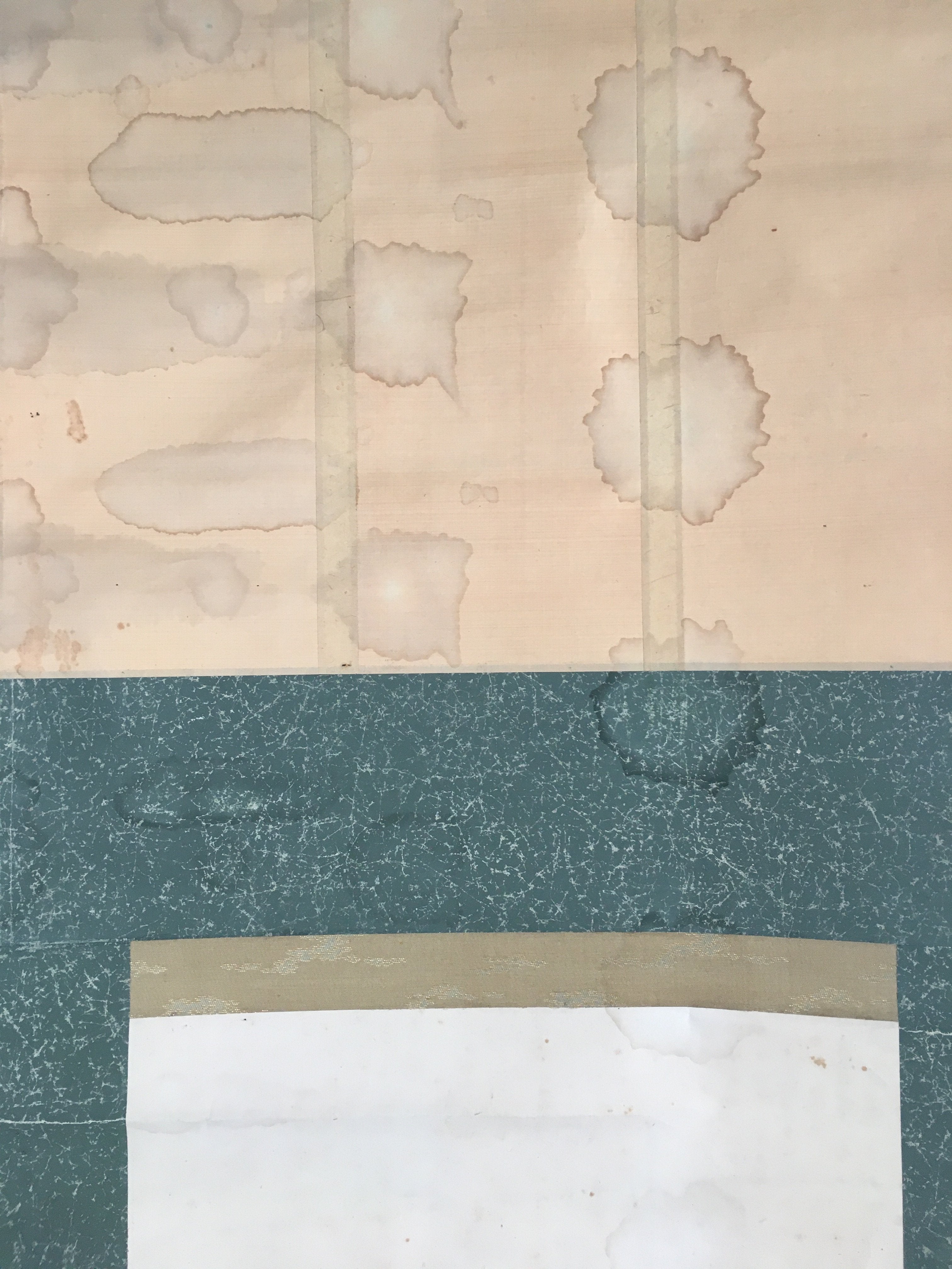 Japanese Hanging Scroll Vtg Kakejiku Kakemono Peony Flower Sparrow SC679