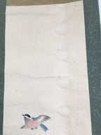 Japanese Hanging Scroll Vtg Kakejiku Kakemono Peony Flower Sparrow SC679