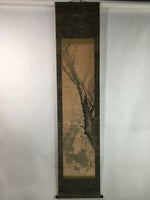 Japanese Hanging Scroll Vtg Kakejiku Kakemono Plum Blossom SC755