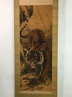 Japanese Hanging Scroll Vtg Kakejiku Kakemono Tiger Painting SC737