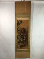 Japanese Hanging Scroll Vtg Kakejiku Kakemono Tiger Painting SC737