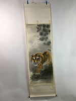 Japanese Hanging Scroll Vtg Kakejiku Kakemono Tiger Painting SC753