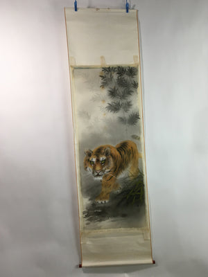 Japanese Hanging Scroll Vtg Kakejiku Kakemono Tiger Painting SC753