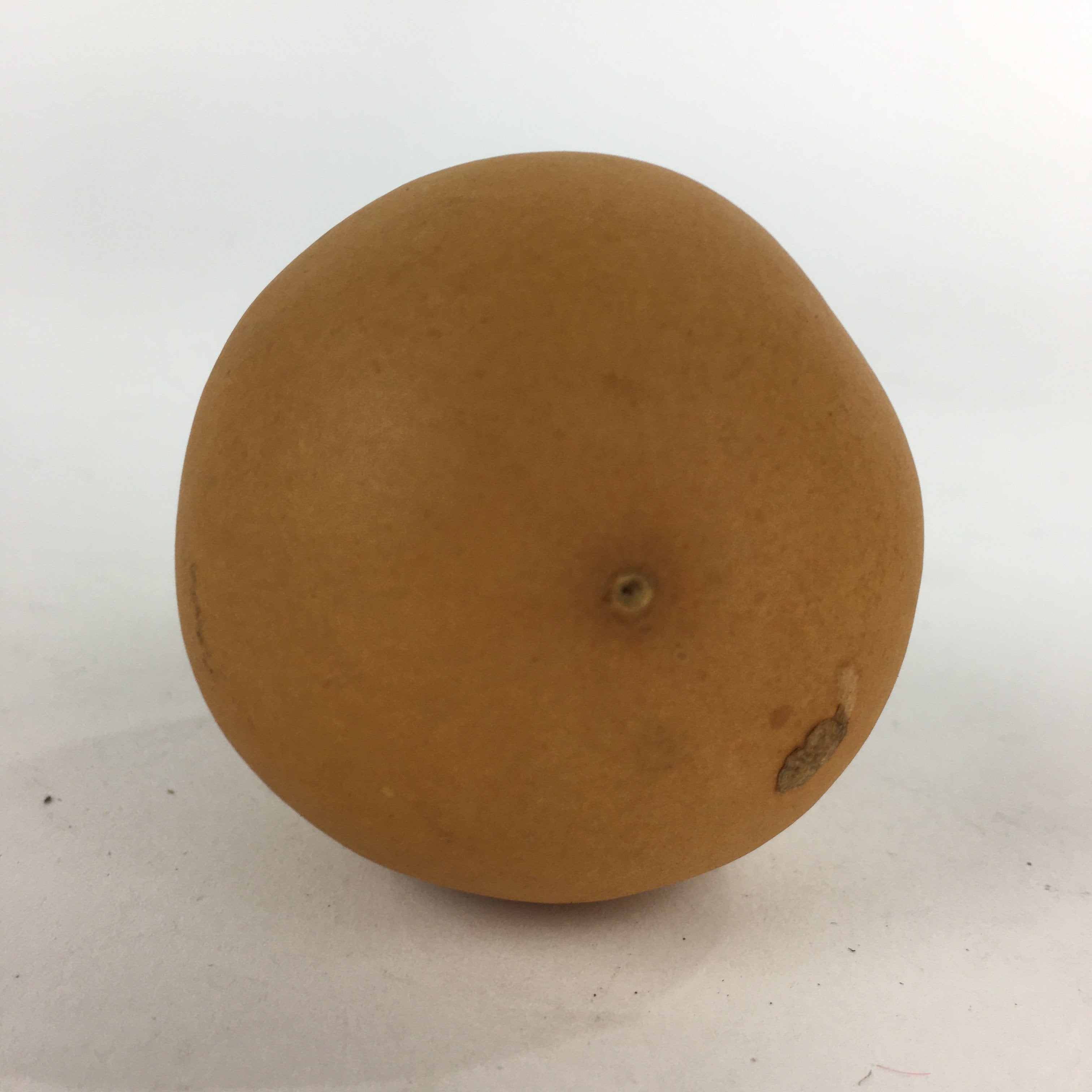 Japanese Hyotan Natural Gourd Sake Bottle Brown Lucky Charm Calabash G237
