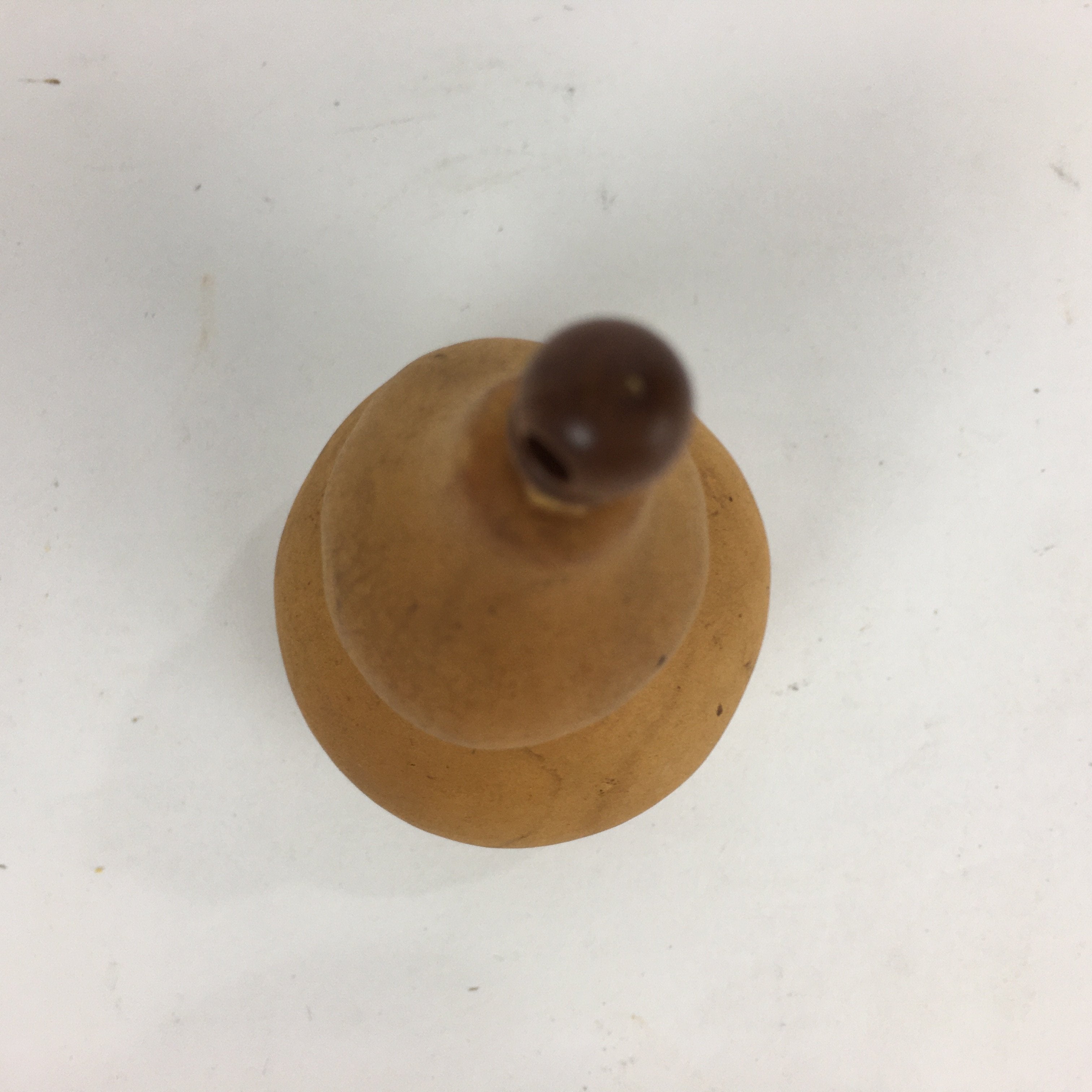 Japanese Hyotan Natural Gourd Sake Bottle Brown Lucky Charm Calabash G238