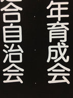 Japanese Katagami Kimono Stencil Katazome Vtg Kanji Arasaki School Ogaki KK5