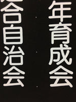 Japanese Katagami Kimono Stencil Katazome Vtg Kanji Arasaki School Ogaki KK5