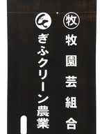 Japanese Katagami Kimono Stencil Katazome Vtg Kanji Engei Kumiai Gifu KK102