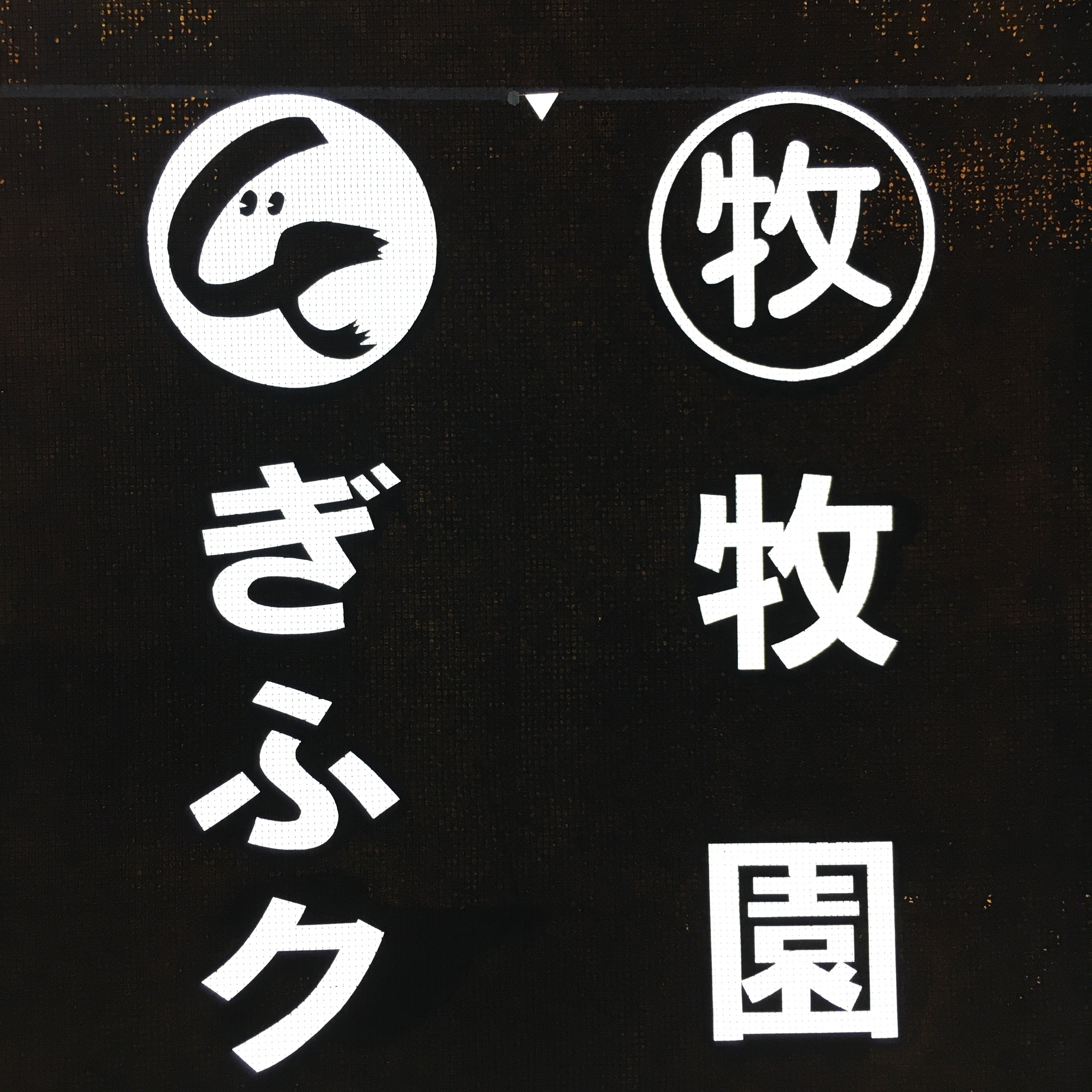 Japanese Katagami Kimono Stencil Katazome Vtg Kanji Engei Kumiai Gifu KK102