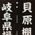 Japanese Katagami Kimono Stencil Katazome Vtg Kanji Gifu Rice Terrace KK21