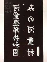 Japanese Katagami Kimono Stencil Katazome Vtg Kanji Kappa Republic KK18