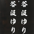 Japanese Katagami Kimono Stencil Katazome Vtg Kanji Tanigumi Yuri En KK111