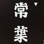 Japanese Katagami Kimono Stencil Katazome Vtg Kanji Tokiwa Shrine KK99