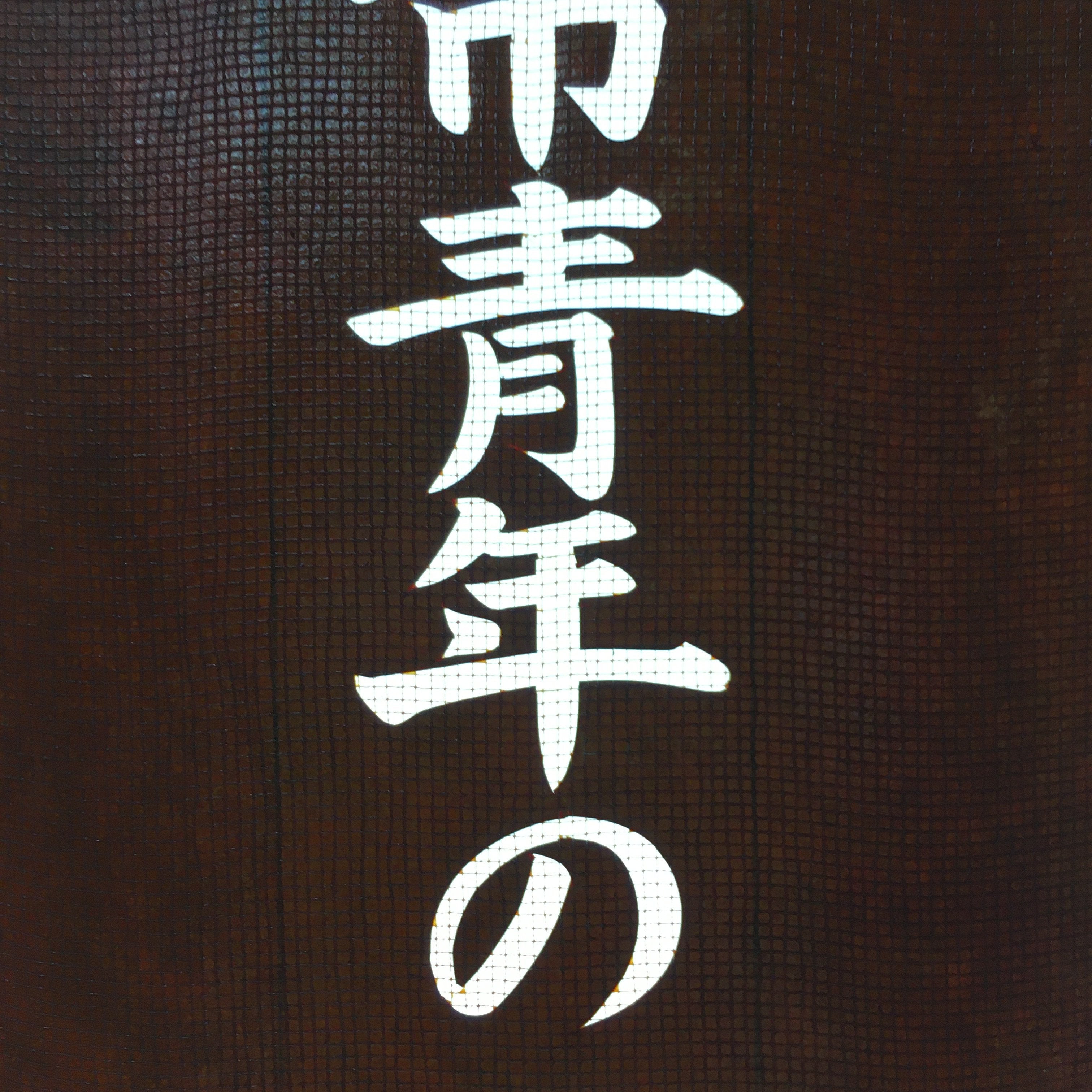 Japanese Katagami Kimono Stencil Katazome Vtg Kanji Youth Chamber Ogaki KK19