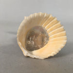 Japanese Kokeshi Doll Vtg Handmade Ornament Native Ameican Shell Ningyo KF518