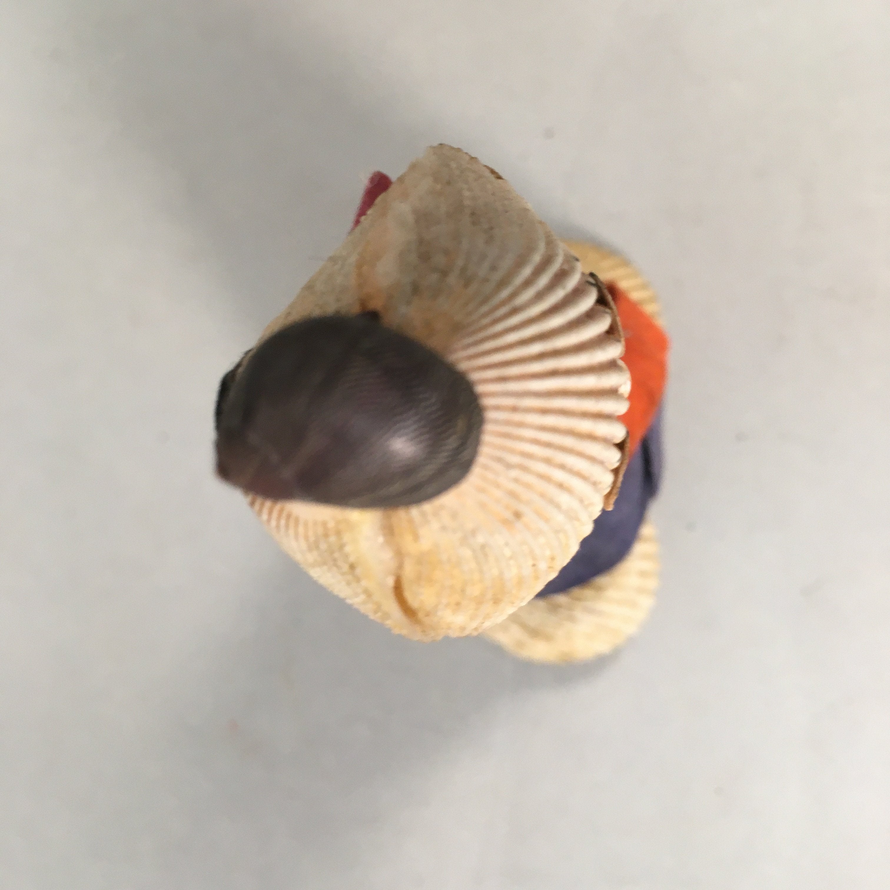 Japanese Kokeshi Doll Vtg Handmade Ornament Shell Samurai Ningyo KF515