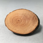 Japanese Kokeshi Doll Vtg Wooden Figurine Mechanical Turtle Nojiri-Ko Lake KF426