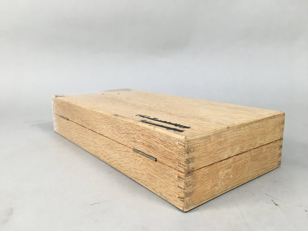 Japanese Medical Instrument Endoscope Bladder Ureter Inspection Vtg Boxed PX528