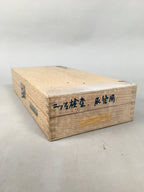 Japanese Medical Instrument Endoscope Bladder Ureter Inspection Vtg Boxed PX528