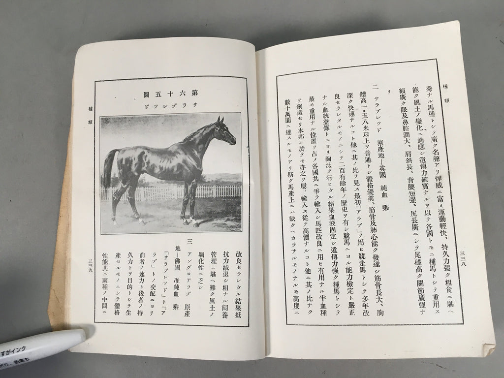 Japanese Military Textbook Vtg Horse Army Censorship Black Book JK145