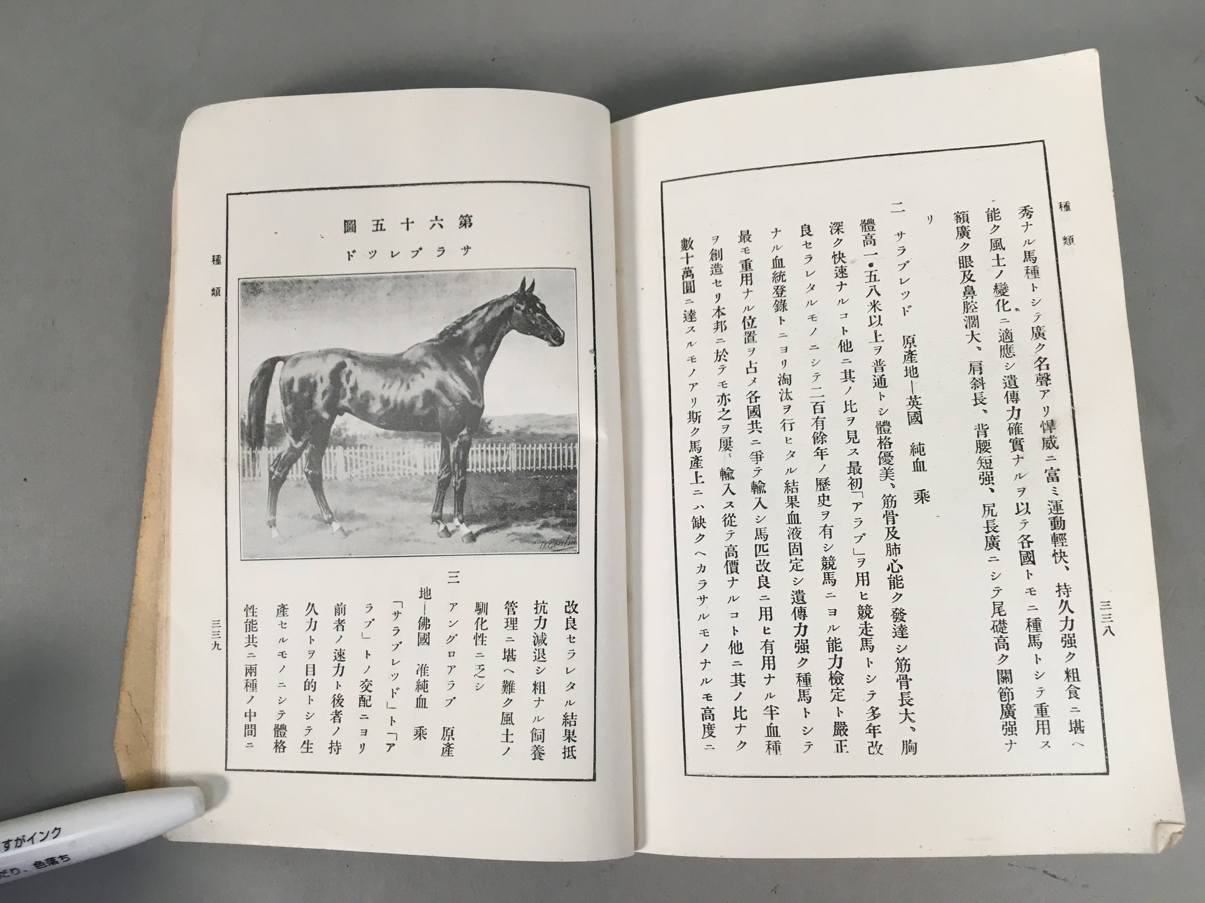 Japanese Military Textbook Vtg Horse Army Censorship Black Book JK145