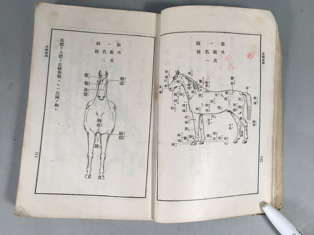 Japanese Military Textbook Vtg Horse Army Censorship Black Book JK145