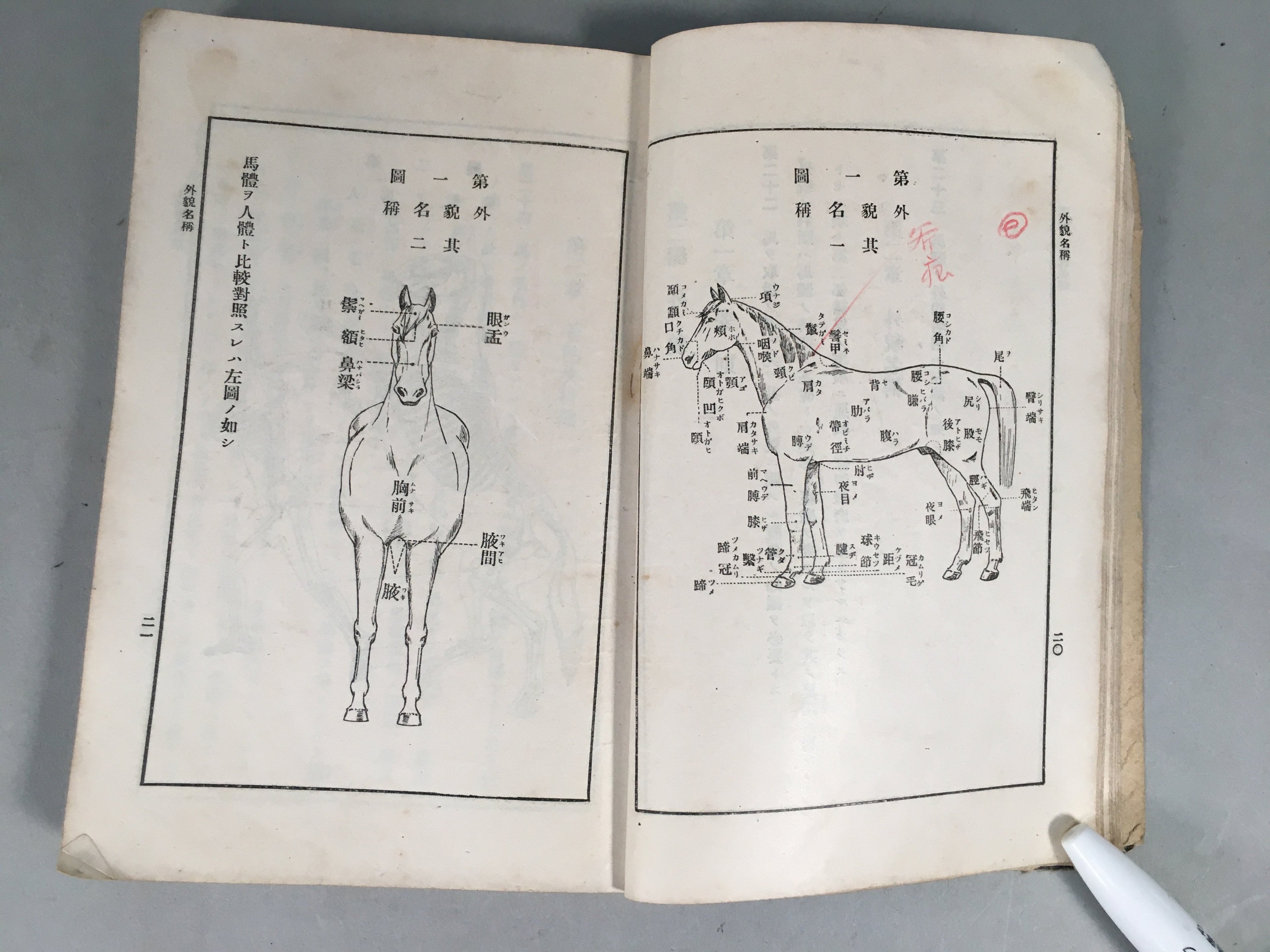 Japanese Military Textbook Vtg Horse Army Censorship Black Book JK145