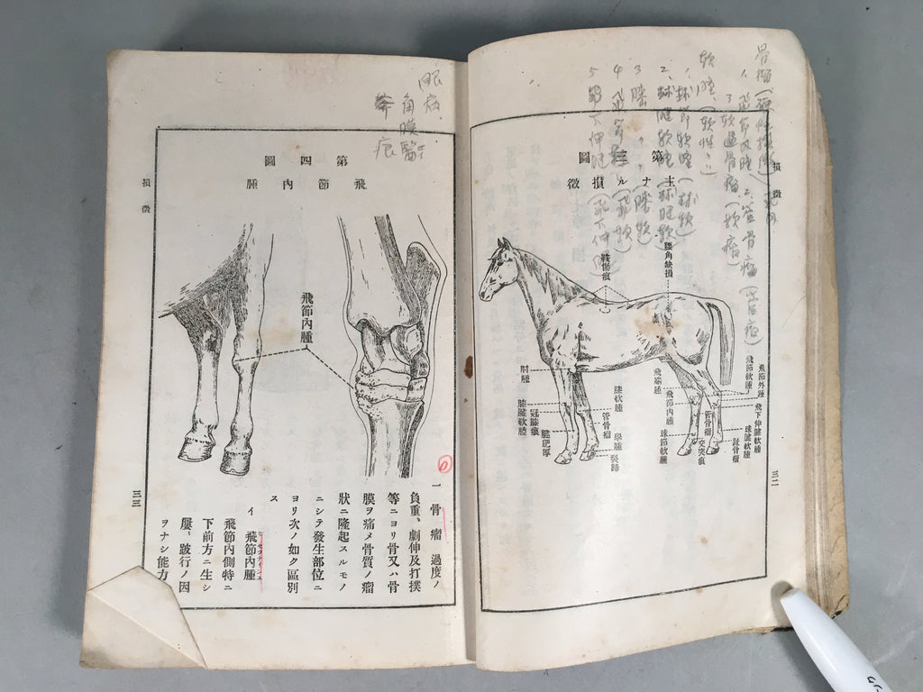 Japanese Military Textbook Vtg Horse Army Censorship Black Book JK145