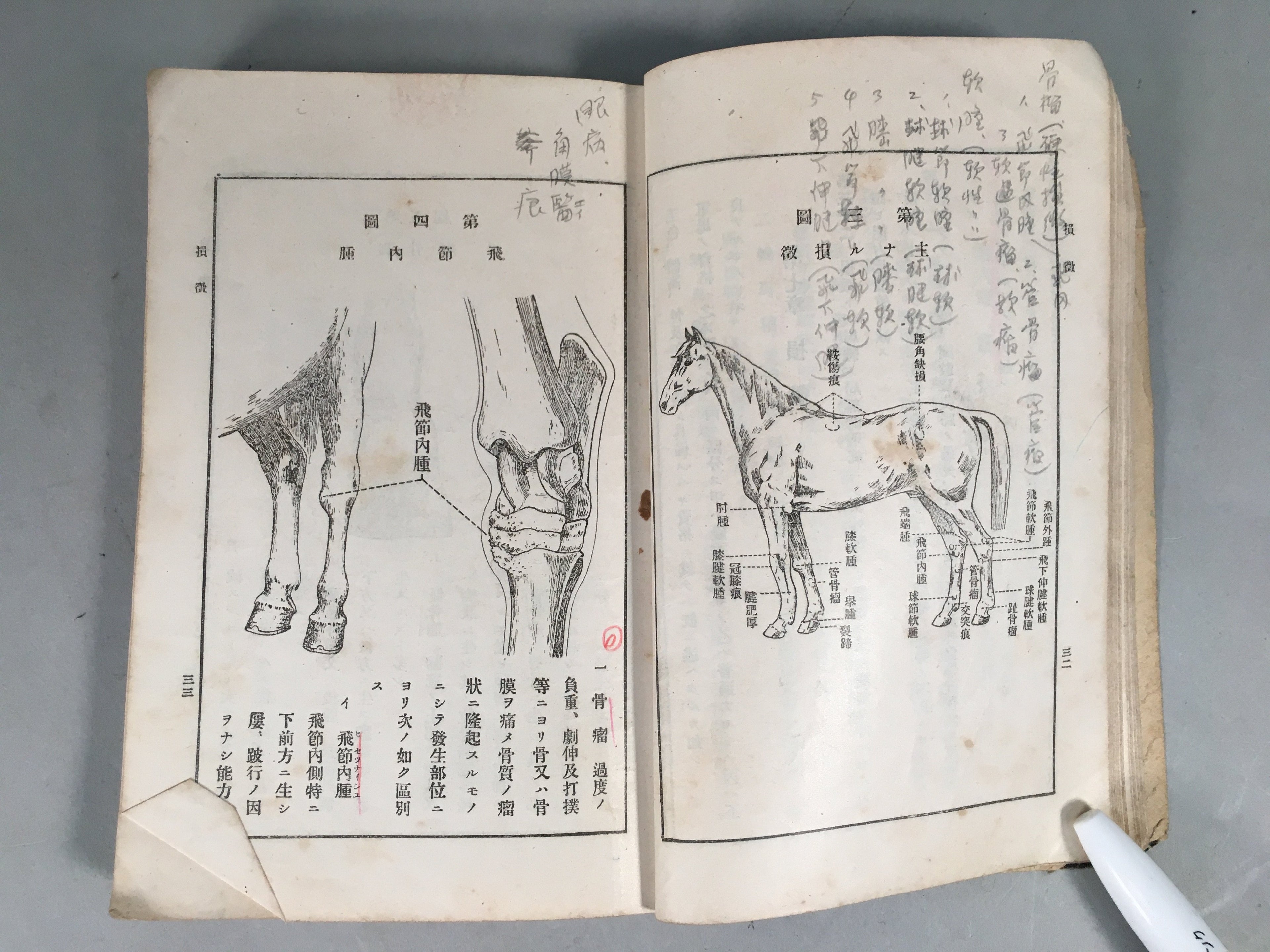 Japanese Military Textbook Vtg Horse Army Censorship Black Book JK145