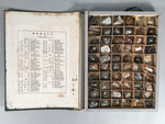 Japanese Mineral Specimens Vtg 60pc Stone Rock Box Set Collection JK131