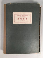 Japanese Mineral Specimens Vtg 60pc Stone Rock Box Set Collection JK131