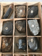Japanese Mineral Specimens Vtg 60pc Stone Rock Box Set Collection JK131