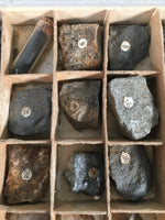Japanese Mineral Specimens Vtg 60pc Stone Rock Box Set Collection JK131