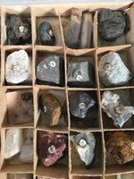 Japanese Mineral Specimens Vtg 60pc Stone Rock Box Set Collection JK131
