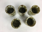 Japanese Mino ware Shozan Kiln Teacup Set 5pc Vtg Box Yunomi Sencha Bancha PX553