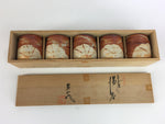 Japanese Mino ware Teacup Set 5pc Vtg Box Yunomi Sencha Bancha PX541