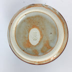 Japanese Mino ware Teacup Set 5pc Vtg Box Yunomi Sencha Bancha PX541