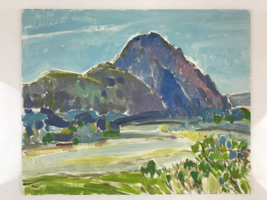 Japanese Mountain River Valley Oil Painting Landscape Original Unsigned FL176