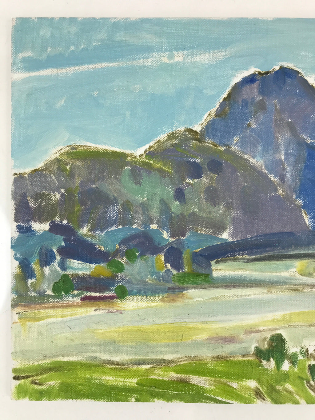 Japanese Mountain River Valley Oil Painting Landscape Original Unsigned FL176