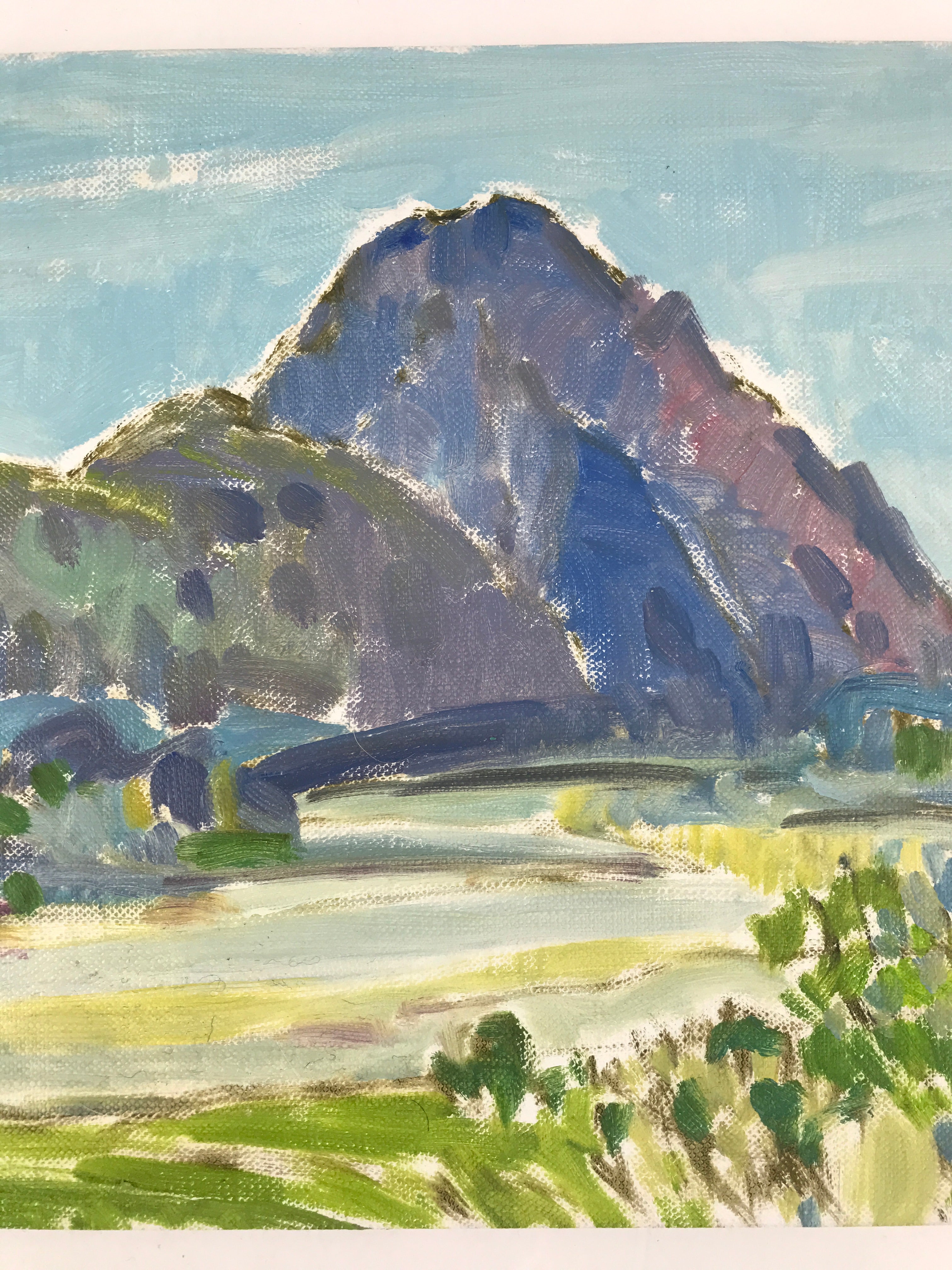 Japanese Mountain River Valley Oil Painting Landscape Original Unsigned FL176