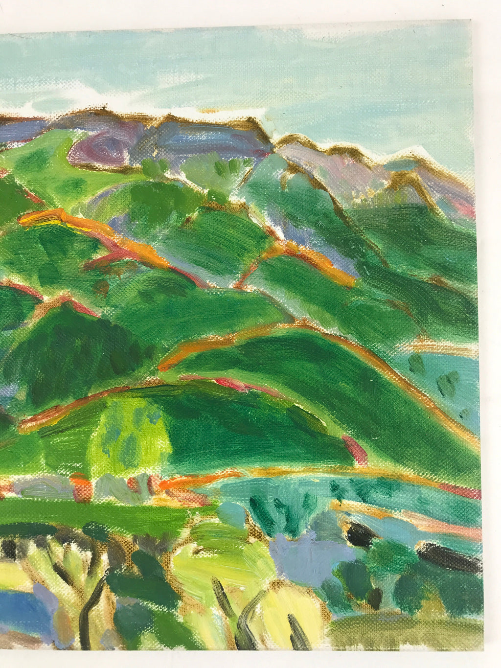 Japanese Mountain Valley Oil Painting Original Signed Yoshihiro Hagino FL180