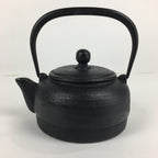 Japanese Nanbu Tekki Cast Iron Teapot Vtg Kyusu Tetsubin Kettle Black 450ml T81