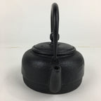 Japanese Nanbu Tekki Cast Iron Teapot Vtg Kyusu Tetsubin Kettle Black 450ml T81