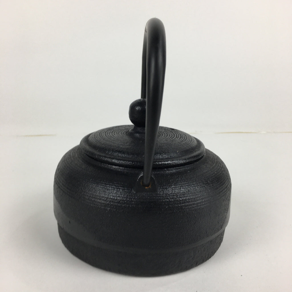Japanese Nanbu Tekki Cast Iron Teapot Vtg Kyusu Tetsubin Kettle Black 450ml T81