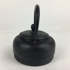 Japanese Nanbu Tekki Cast Iron Teapot Vtg Kyusu Tetsubin Kettle Black 450ml T81