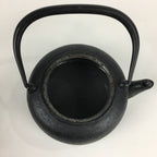 Japanese Nanbu Tekki Cast Iron Teapot Vtg Kyusu Tetsubin Kettle Black 450ml T81