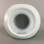 Japanese Noritake Porcelain Salt Pepper Castor Vtg Seasoning Container PT885