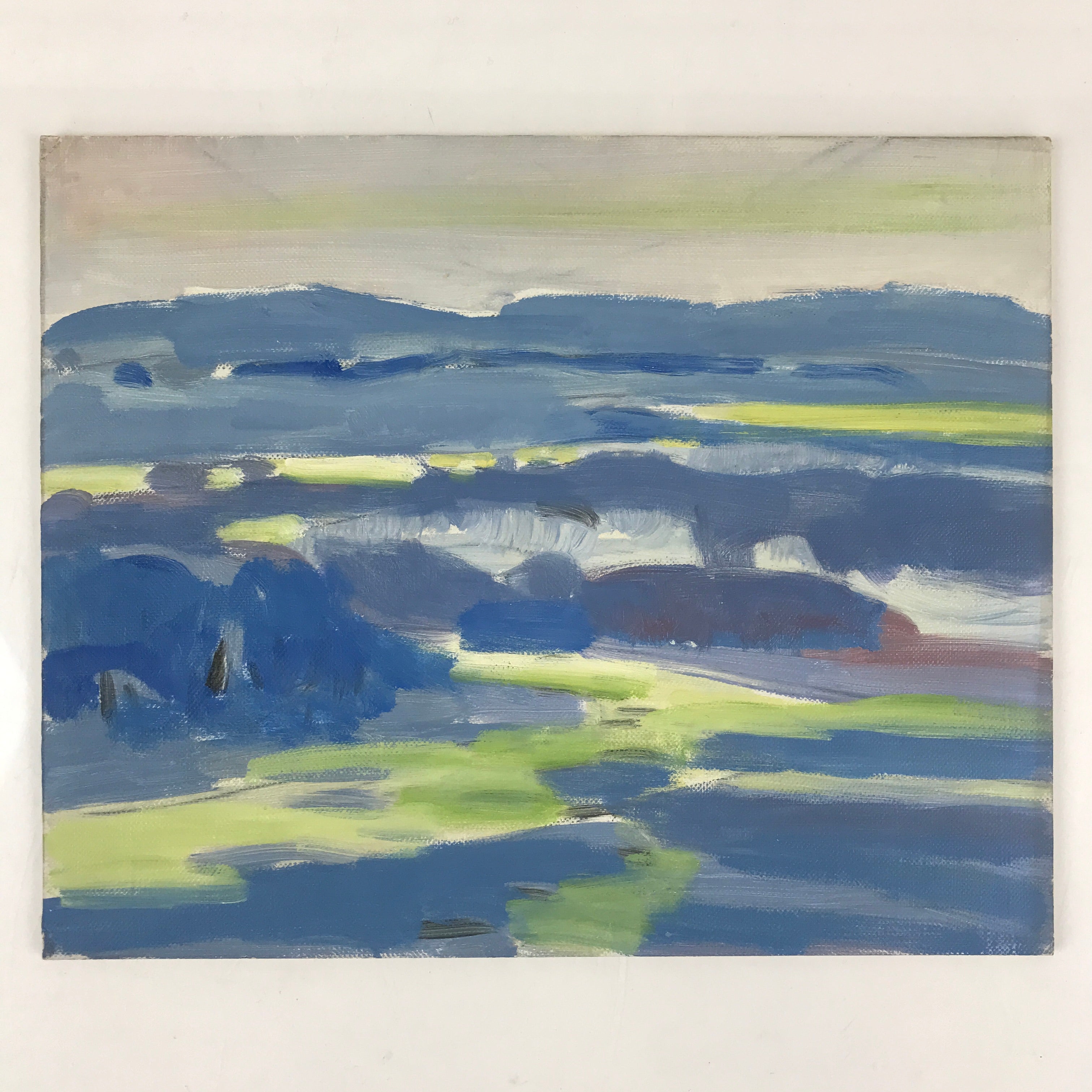 Japanese Overcast Valley Oil Painting Landscape Original Art Unsigned FL159